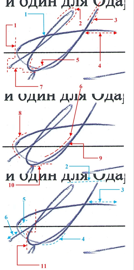 Изображения одной подписи, выполненной от имени Иванова И.И., в договоре дарения доли квартиры